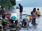 Fenomena Alam “Bintilihan” Sebabkan Ribuan Ikan di Danau Ranau OKU Selatan Mati
