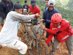 Tim Gabungan Temukan Korban Tanah Longsor di Kabupaten Luwu