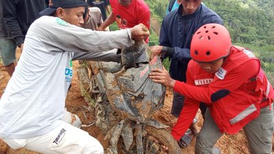 Tim Gabungan Temukan Korban Tanah Longsor di Kabupaten Luwu