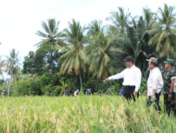 Perpadi Puji Gebrakan Kementan Menambah Alokasi Pupuk