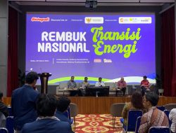 Jadi Negara Maju, Indonesia Perlu Menggunakan Energi Bersih dan Berkelanjutan