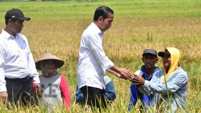 Presiden Jokowi Apresiasi Gebrakan Mentan Lakukan Percepatan Tanam Padi