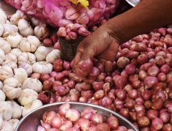 Bapanas Ungkap Alasan Kenaikan Harga Bawang Merah