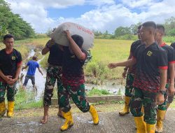 Yonmarhanlan XI Merauke Berhasil Manfaatkan Lahan Kosong untuk Ketahanan Pangan