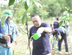 Green Mining, Bukit Asam (PTBA) Tanam Pohon Bersama di Lahan Bekas Tambang