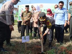 Peringati HUT Bhayangkara Ke-78,Polres PALI Gelar Penanaman Pohon Secara Serentak