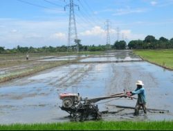 Indonesia Berpeluang Wujudkan Swasembada Pangan