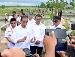 Pembangunan Ibu Kota Nusantara Tingkatkan Potensi Ekonomi Pertanian di Sekitar Kalimantan