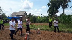 Dukung Ketahanan Pangan, Polsek Muaradua Polres OKU Selatan Tanam Bibit Jagung